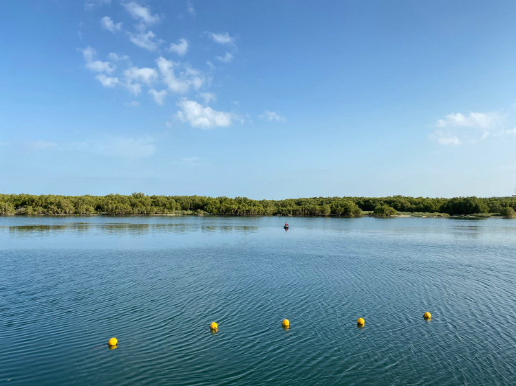 氨氮過高 氨氮過高