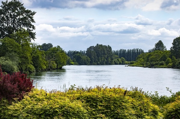 總氮分析儀校準(zhǔn)規(guī)范.jpg 總氮分析儀校準(zhǔn)規(guī)范.jpg